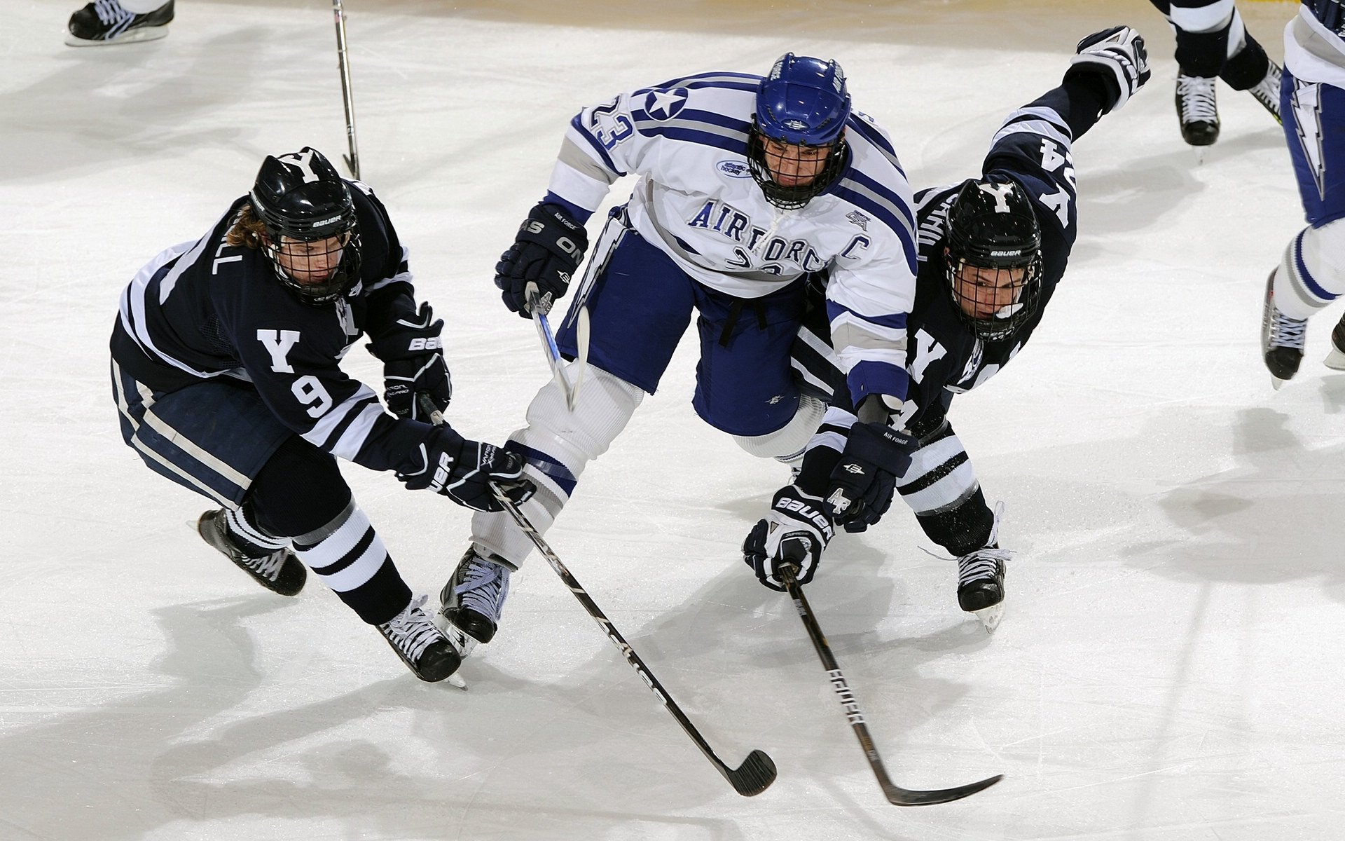 多地加入青训专项扶持名单，政策红利释放带动行业快速发展，青训项目